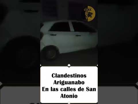 2025-12-08. Arengando San Antonio de los Baños, Artemisa