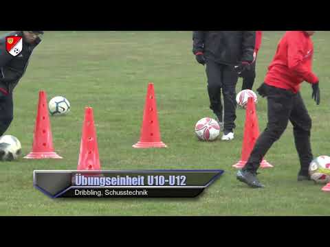 SV Gerasdorf Stammersdorf am 21.03.2021 Interview & Showtraining mit Goran „Gogo“ Djuricin