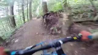 Joy Ride - Tiger Mtn MTB, WA