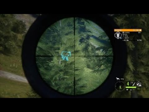 New Olsson Model 23 .308 hits goat LIKE A TRUCK