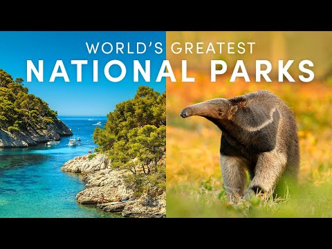 Exploring the World's Largest National Parks and Sanctuaries: Breathtaking Landscapes, Wildlife, and Conservation