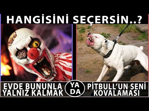 Hangi Seçeneği Seçeceksin? - Hayatınızın En Zor Tercihleri