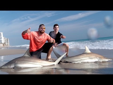 Shark Fishing with Dude Perfect