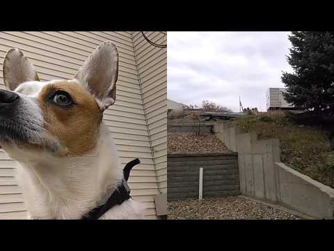 HTC Desire 820 split capture video demo