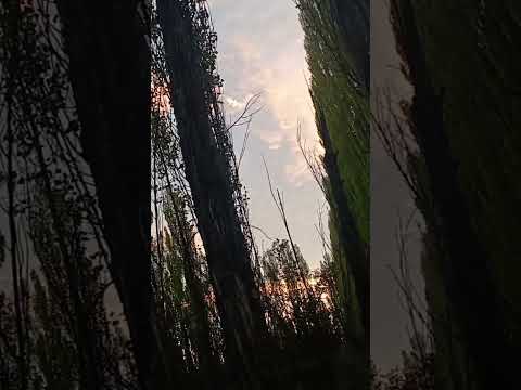 #nature #plottier #neuquén #senderismo