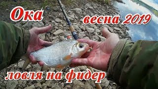 Есть ли клев на оке в мае