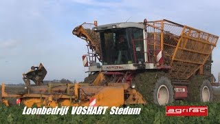 preview picture of video 'Loonb. Voshart in de bieten met AGRIFAC ZA 215 EH. 7r'