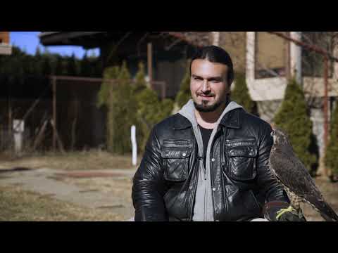 Moj ljubimac ep. 42 - Sokolovi - 06.04.2020.