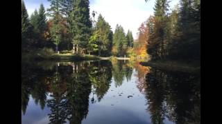 Traummelodie - Bregenzerwälder Spitzbuben