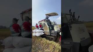 Download lagu MAXXI || #combineharvester #maxxibimo102standar #farming #automobile #maxxibimoterbaru #maxxibimo mp3