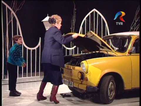 Pana de automobil - Ileana Stana Ionescu