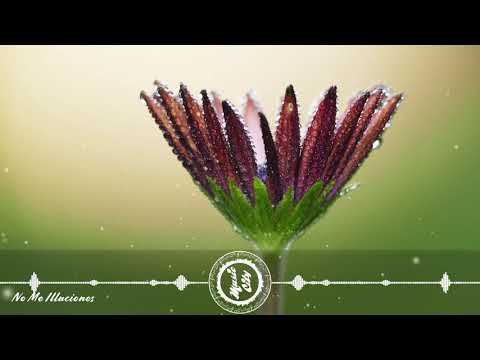 Lu-Ni feat. Andy Delos Santos - No Me Illuciones