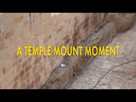 A Temple Mount Moment: The Cedars of Lebanon!