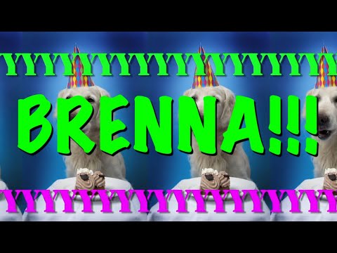 HAPPY BIRTHDAY BRENNA! - EPIC Happy Birthday Song