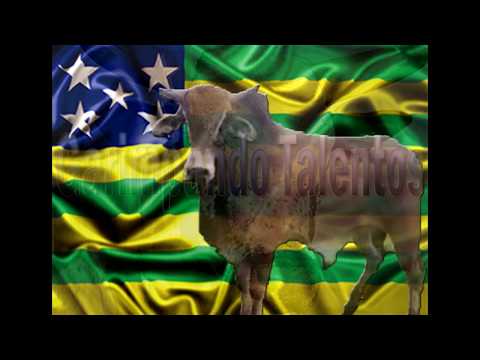 Psicopata Cia 2E de Rio Verde GO