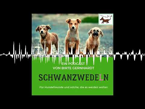 95 Therapeuth auf 4 Pfoten - Ausbilderin im Deutscher Berufsverband für Therapie- und Behinderten - Schwanzwedeln