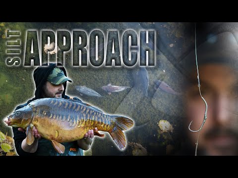 Top Tips for Carp Fishing Silty Shallow Lakes- The Estate Lake Approach- CC Moore