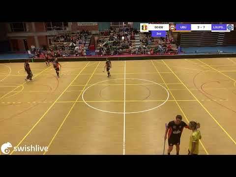 D3E J5 -  UBU VS LOUPS DU LUX