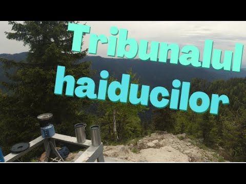 Serving a tea @ Tribunalul Haiducilor 2,7K (country music in background)