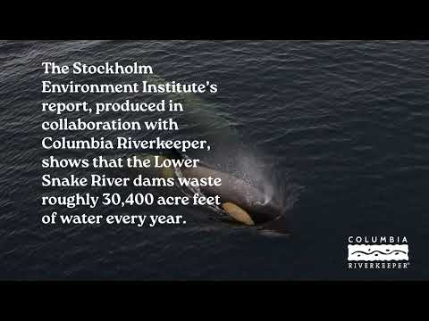 Snake River Dams = Waste of Water