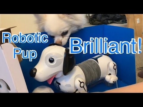 Silverlit Robo Dash Robotic Dog Unboxing, Demonstration & Review