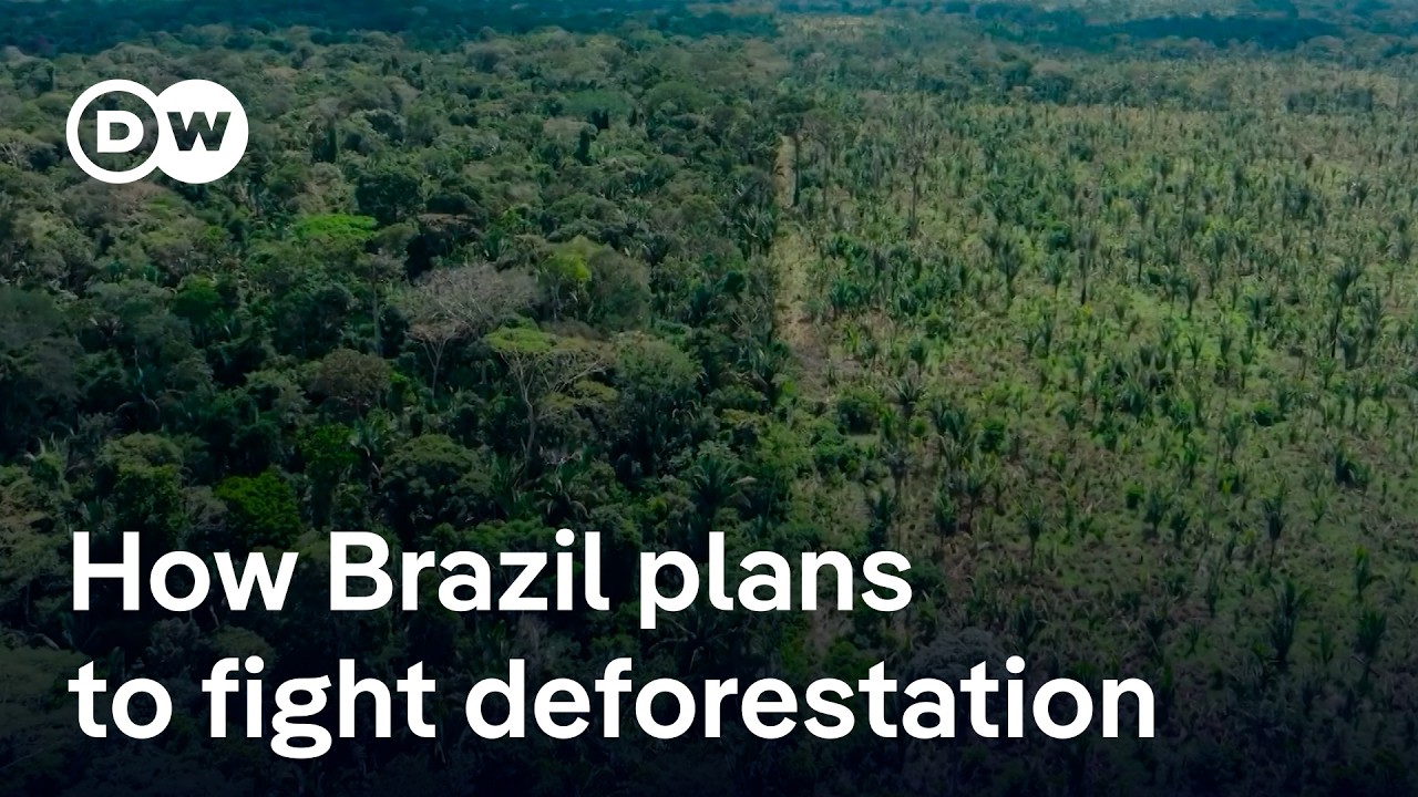 Brazil's $125 billion gamble to save the world's rainforests | DW News