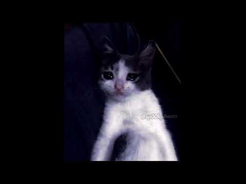 Sad Catto Hours Vol. 3 (@sp00ky.hours)