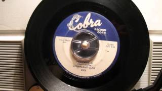 Sunnyland Slim - Highway 61