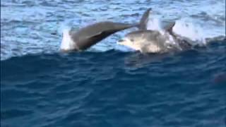 Vangelis - Ask The Mountains   Vangelis