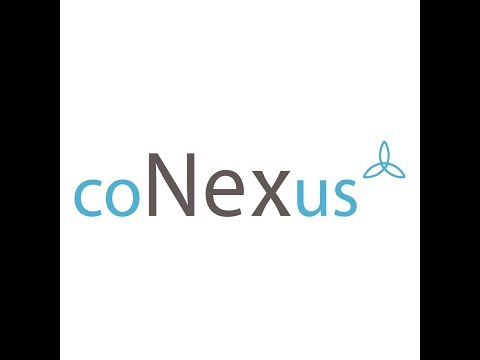 CoNexus Workforce Solutions