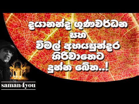 එිරිවාතෙට බේත් දුන්නු දයානන්ද ගුණවර්ධන සහ විමල් අභයසුන්දර | Saman4You - Prog 299