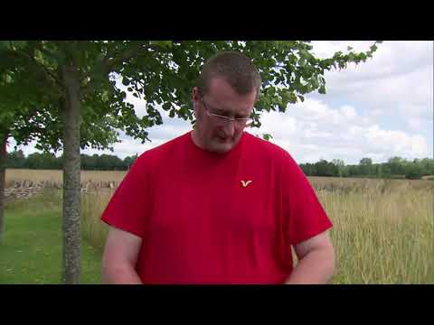 KEVIN HUTTON ON KINGSBROOK GLYN