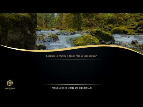 Sahih Buhari - Hadith 378 - Thënia e dikujt: "Na ka ikur namazi!"