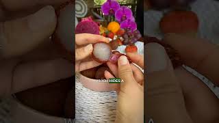 Download lagu Perbedaan Antara Kelengkeng dan Leci 😍 mp3 Download lagu Perbedaan Antara Kelengkeng dan Leci 😍 mp3