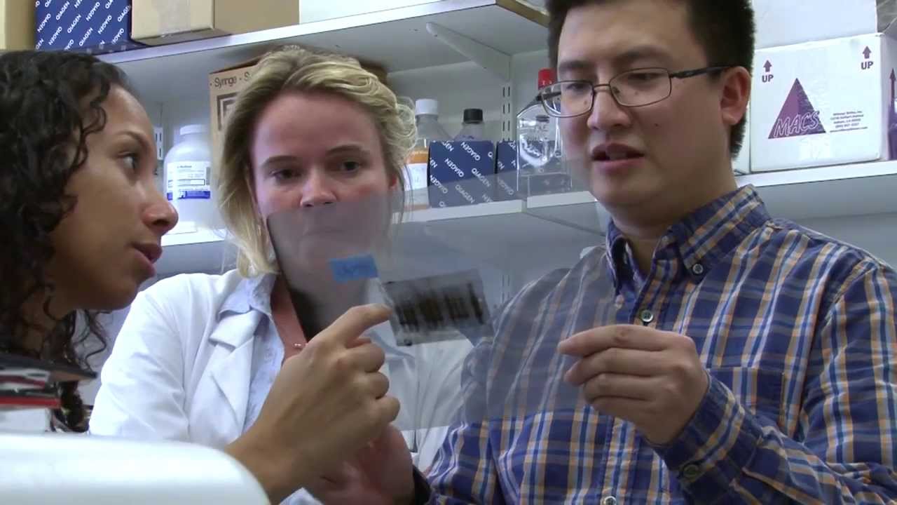 Making Discoveries at a Premier Research Institute