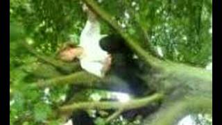 preview picture of video 'David Getting Shocked Out Of Tree'