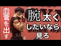 【筋トレ】腕をより太く、血管でバリバリにする方法！