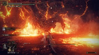 ELDEN RING_ベールにトドメをさして煽り散らかす御仁