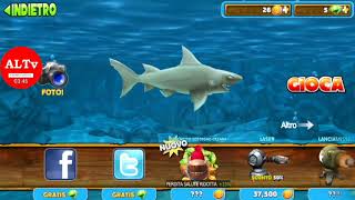 Hungry shark fish feast shell location