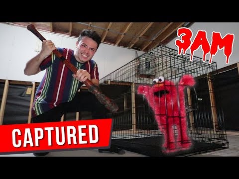(SCARY) CAPTURING ELMO AT 3AM CHALLENGE!! *ACTUALLY WORKED!!*