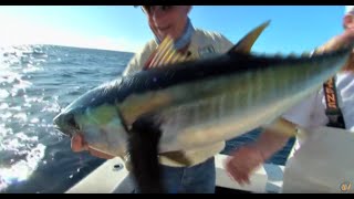 Deep Sea Fishing Venice la sportsman - Tuna Fishing