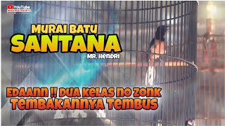 Download lagu 🔴 ANNIVERSARY 86 TEAM || MURAI BATU SANTANA ‼️ EDANN TEMBAKANNYA TEMBUS || DUA KELAS NO ZONKK mp3