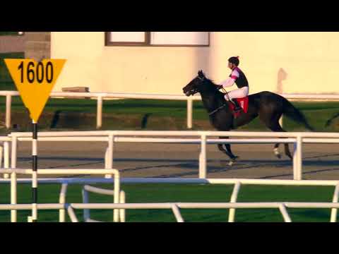 230528 c08 - NO KODIAK - HIPODROMO DE MAROÑAS