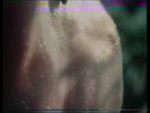Sure Deodorant, 1976 [COMMERCIAL]