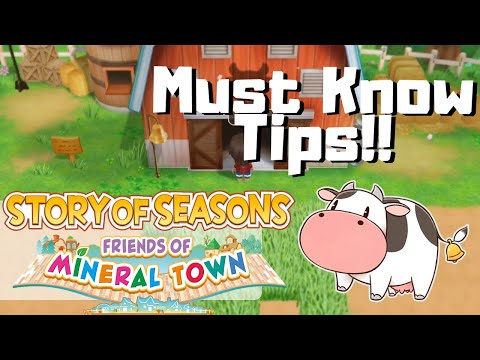 Story of Seasons: Friends of Mineral Town- TIPS +  BEGINNER GUIDE