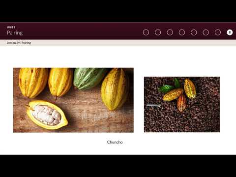 PiscoLogia & Pisco Certificate Course- Lesson 29: Pairing Pisco with Food (Chuncho)