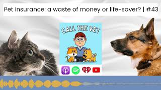 Pet Insurance: a waste of money or life-saver? | #43