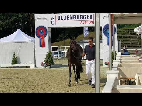 HP Summer Breeze (For Romance II x Fürstenball)