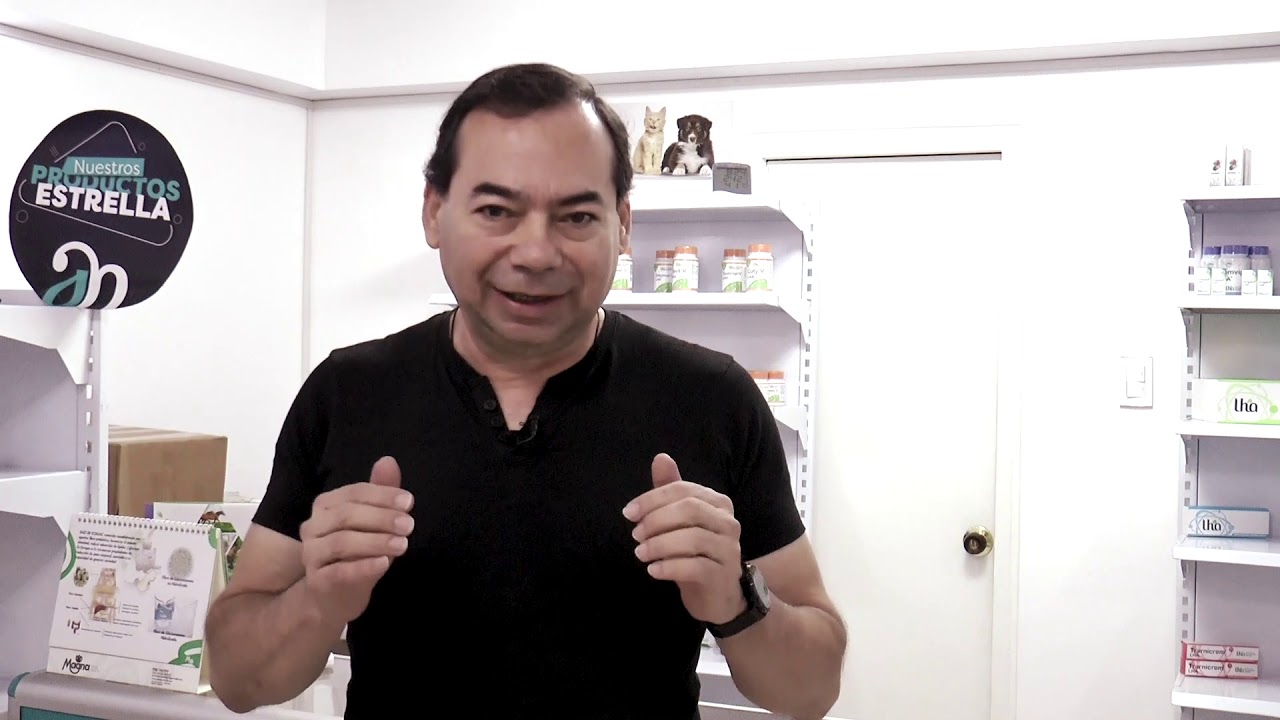 Guillermo Mendieta-28