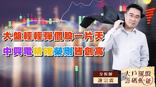 大盤輕輕彈個股一片天 中興電精確榮剛皆創高｜大戶羅盤籌碼動能 ｜謝宗霖 (圖)